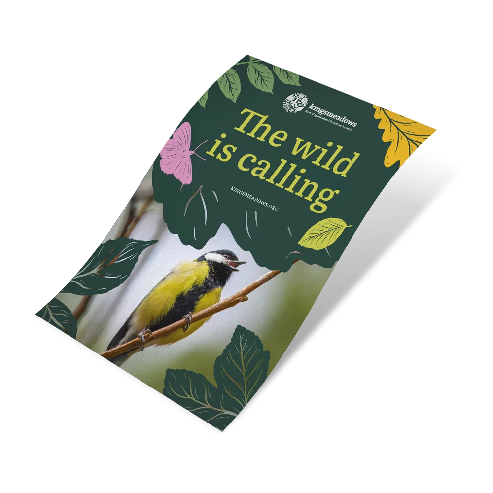 Illustration by Somewhere Uncharted